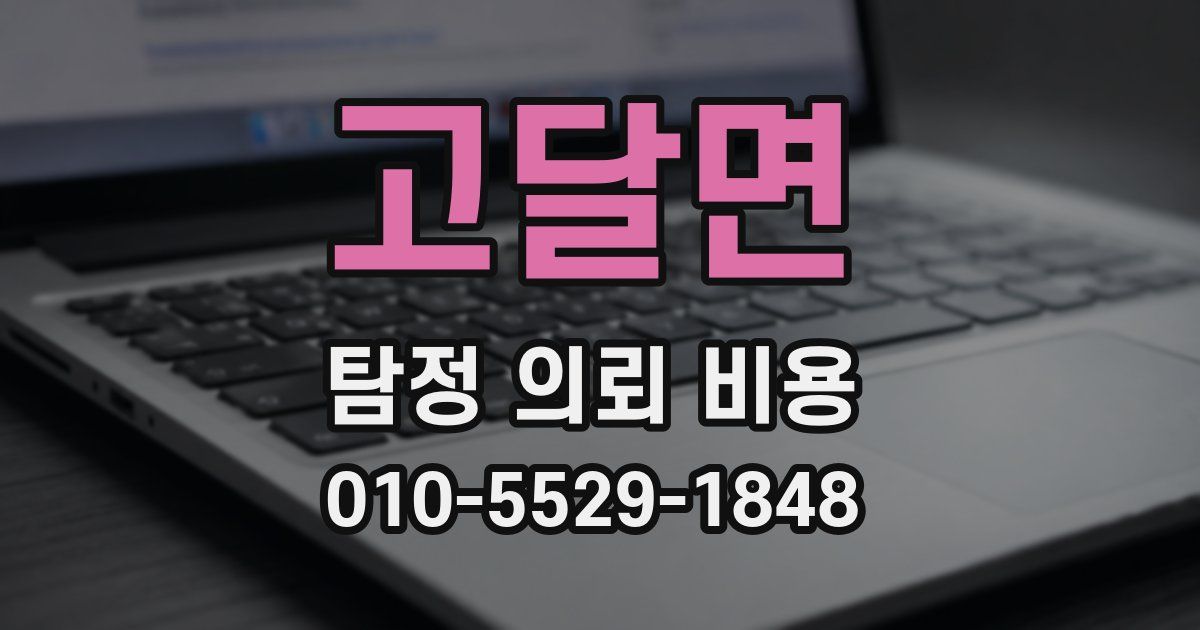 고달면 탐정 의뢰 비용