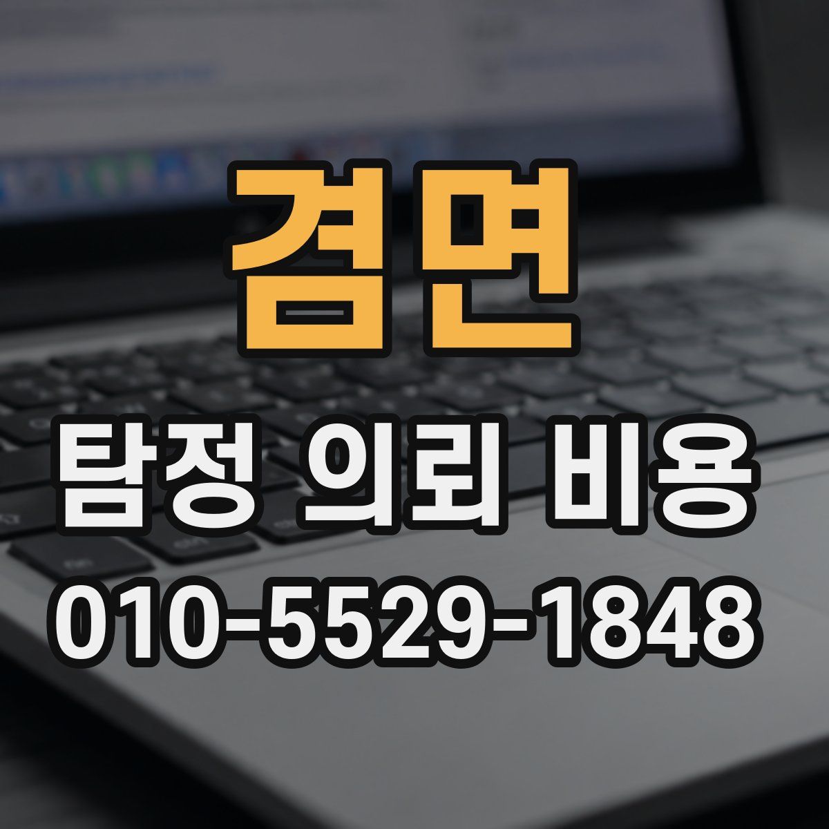 겸면 탐정 의뢰 비용