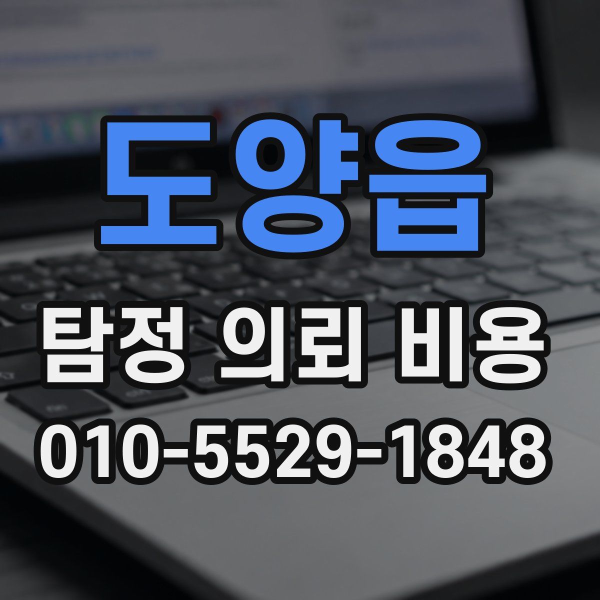 도양읍 탐정 의뢰 비용