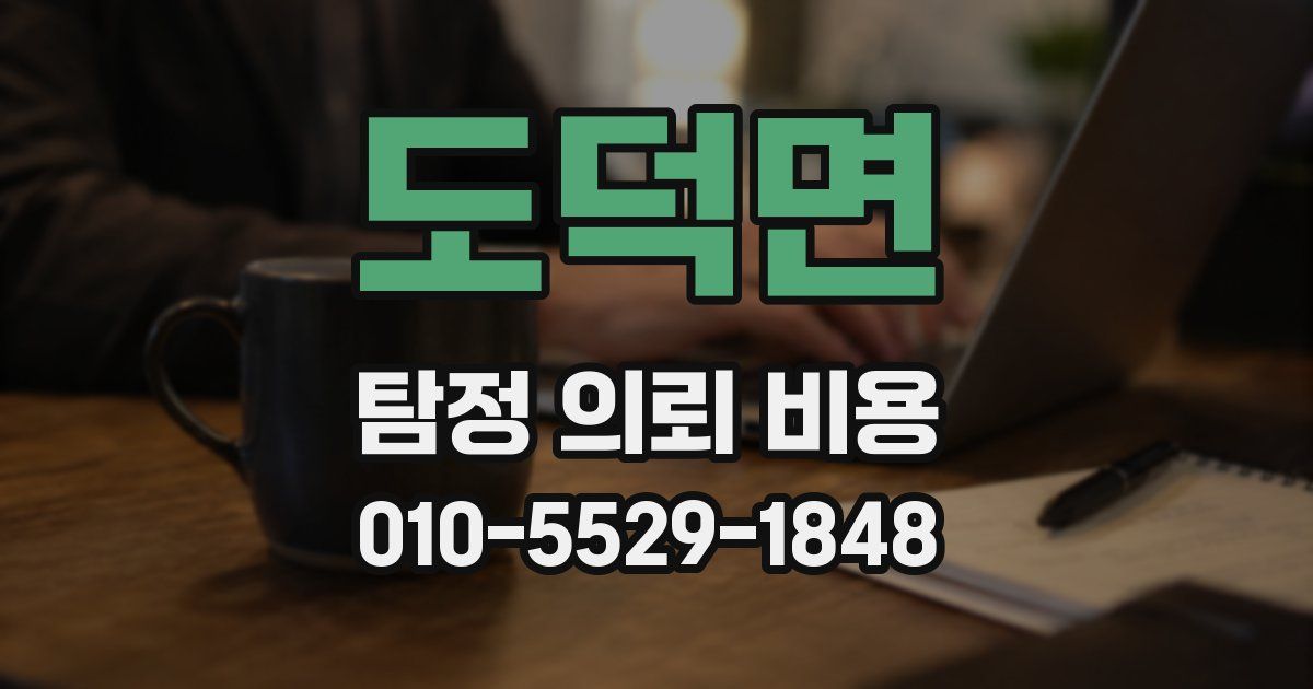 도덕면 탐정 의뢰 비용
