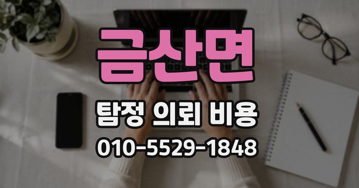 금산면 탐정 의뢰 비용