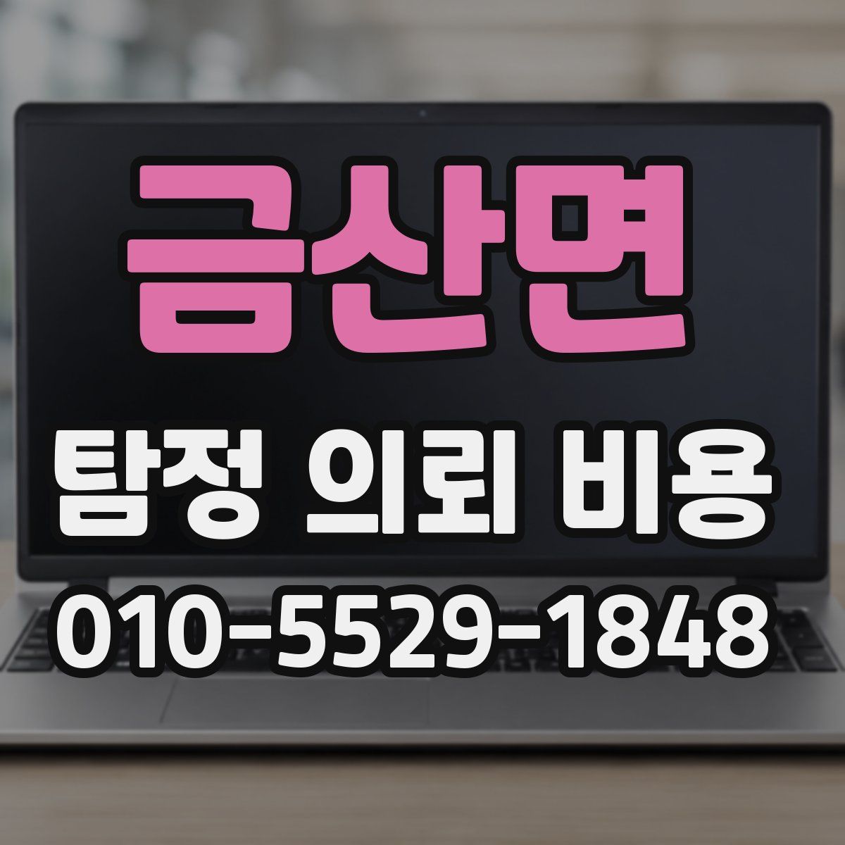 금산면 탐정 의뢰 비용