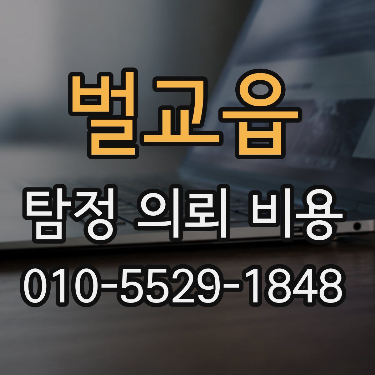 벌교읍 탐정 의뢰 비용