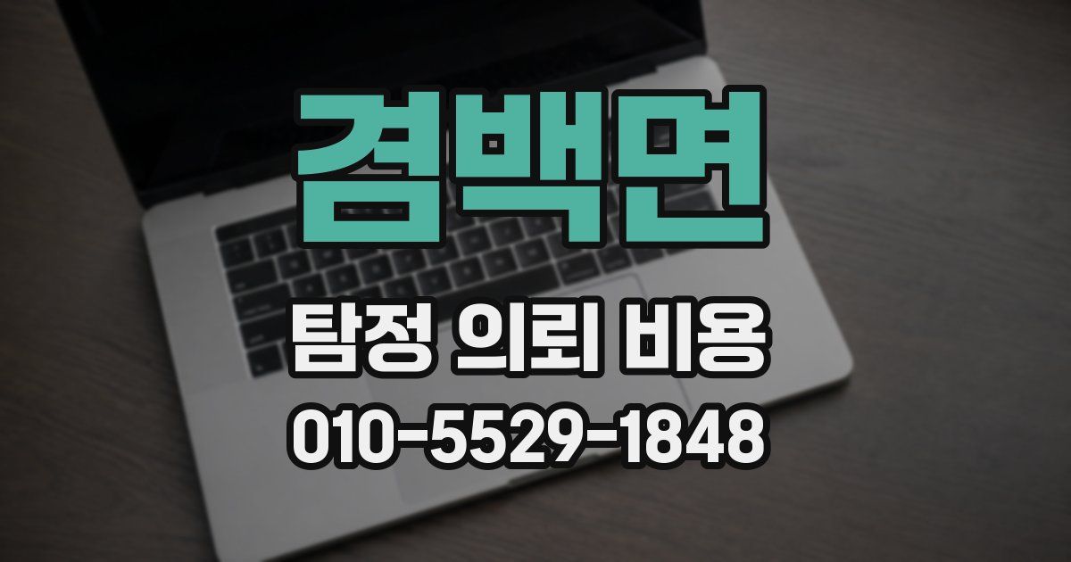 겸백면 탐정 의뢰 비용