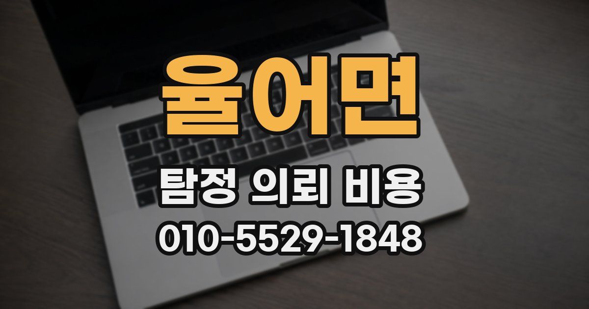 율어면 탐정 의뢰 비용