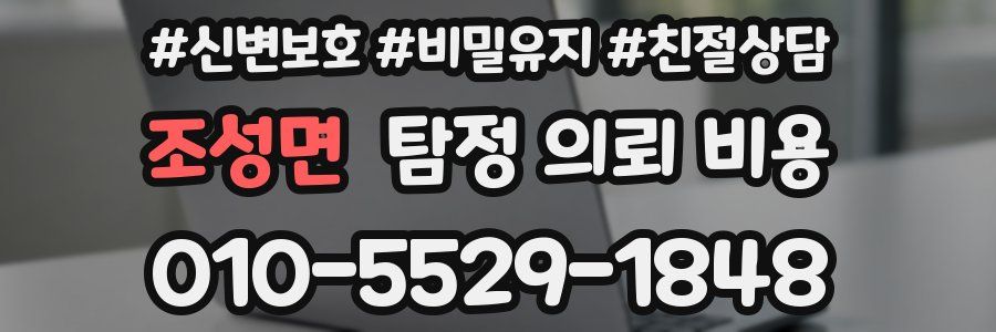 조성면 탐정 의뢰 비용
