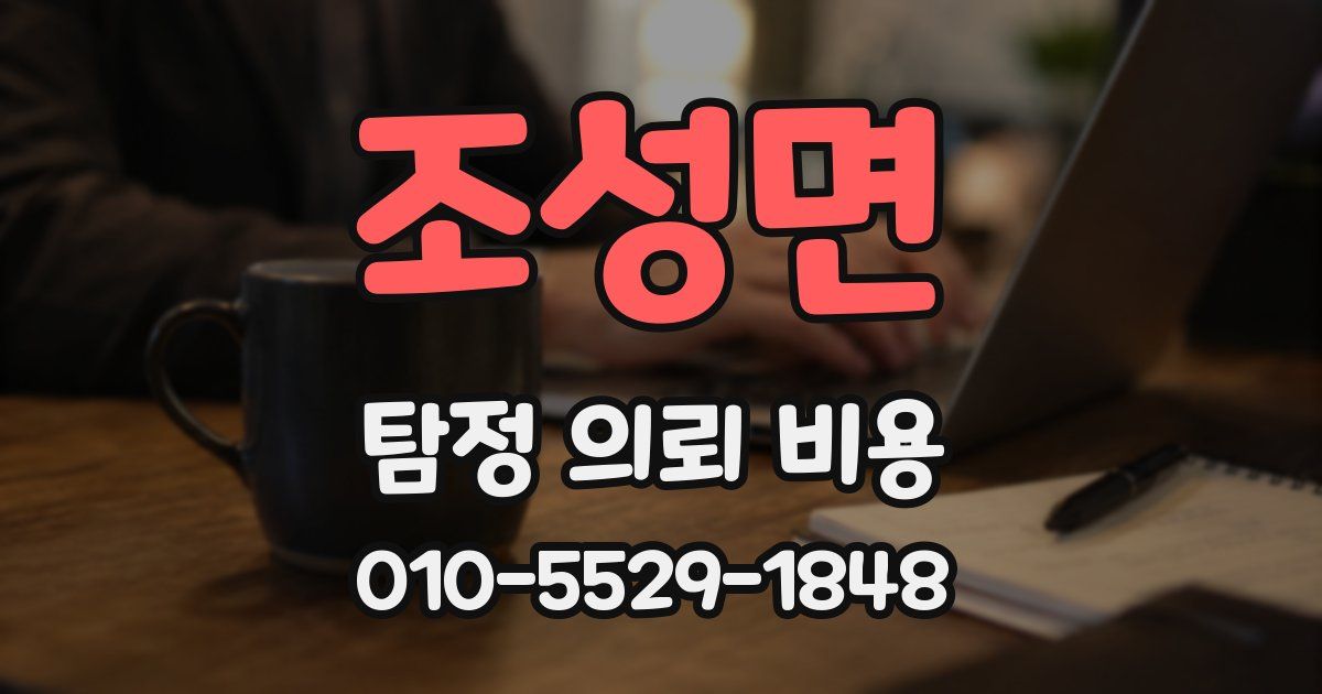 조성면 탐정 의뢰 비용