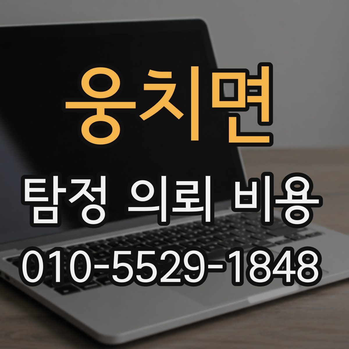 웅치면 탐정 의뢰 비용