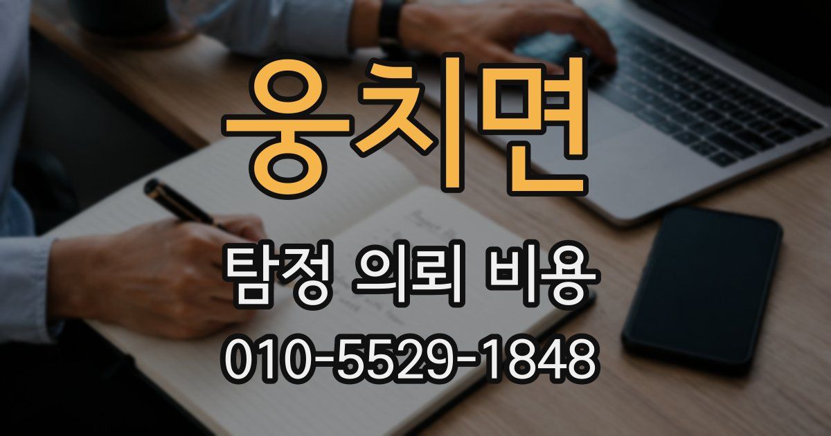 웅치면 탐정 의뢰 비용