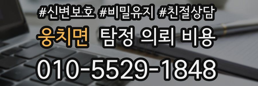 웅치면 탐정 의뢰 비용