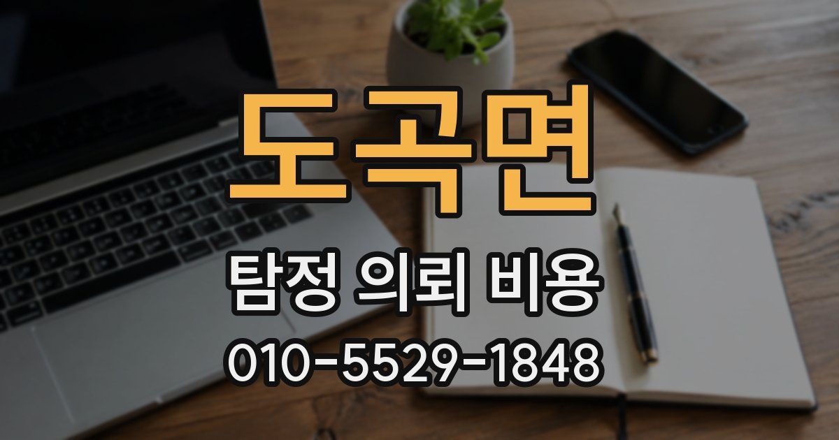 도곡면 탐정 의뢰 비용