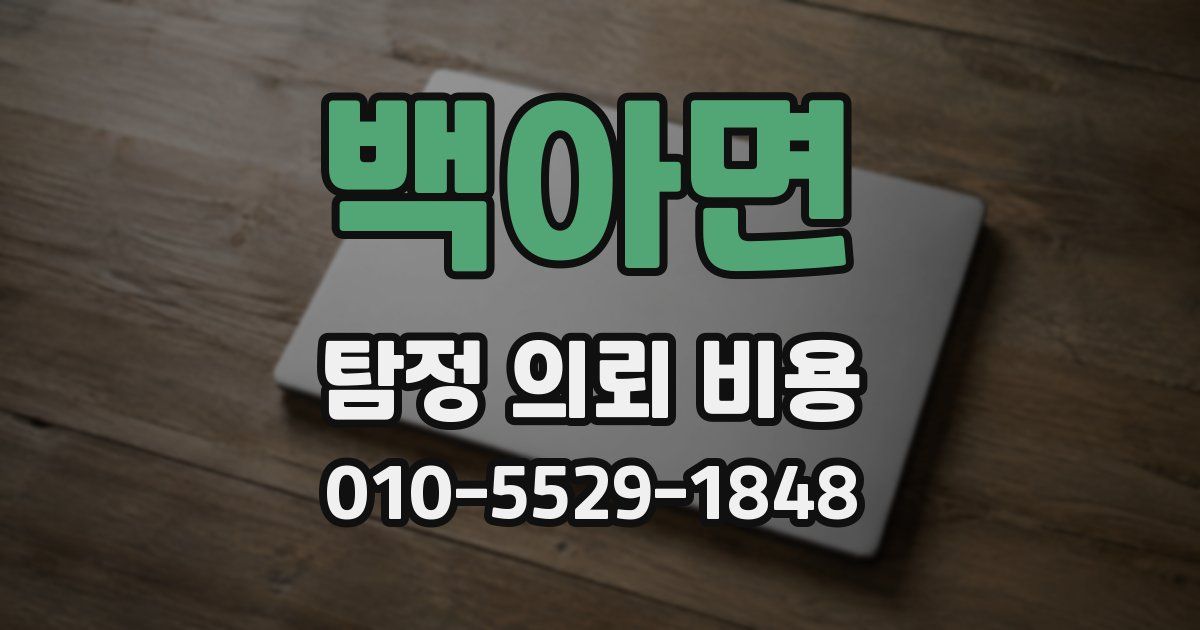백아면 탐정 의뢰 비용
