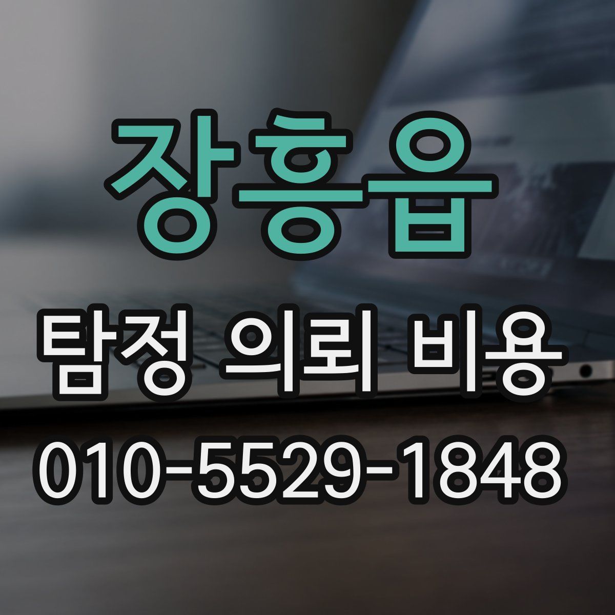 장흥읍 탐정 의뢰 비용