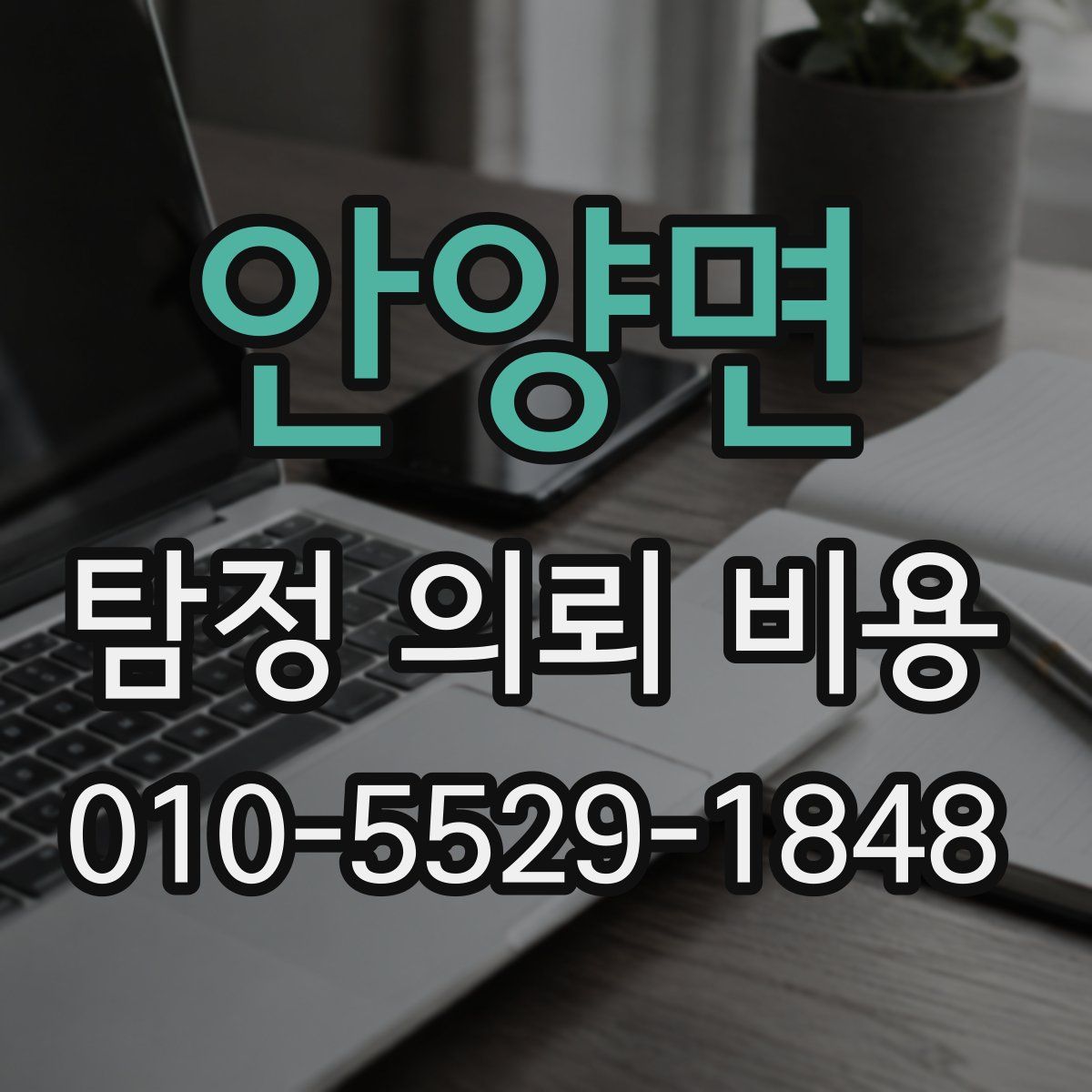 안양면 탐정 의뢰 비용