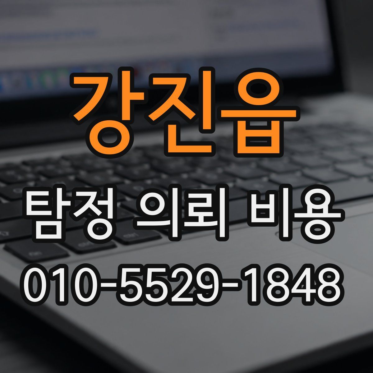 강진읍 탐정 의뢰 비용