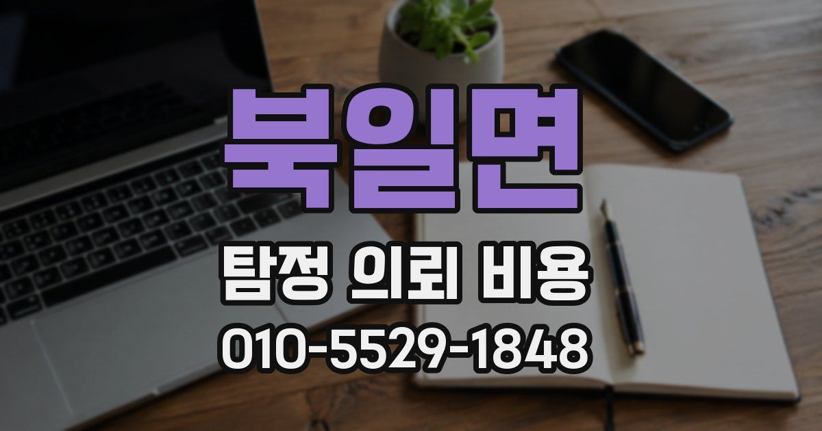 북일면 탐정 의뢰 비용