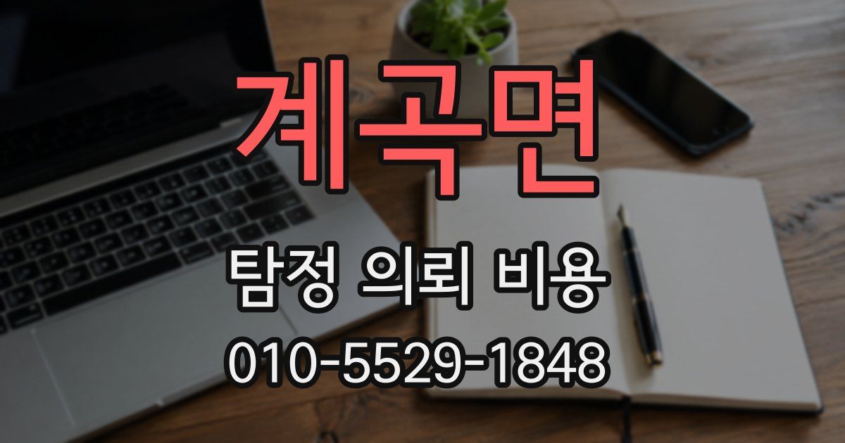 계곡면 탐정 의뢰 비용