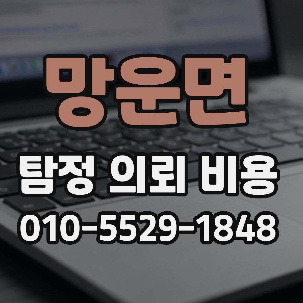 망운면 탐정 의뢰 비용