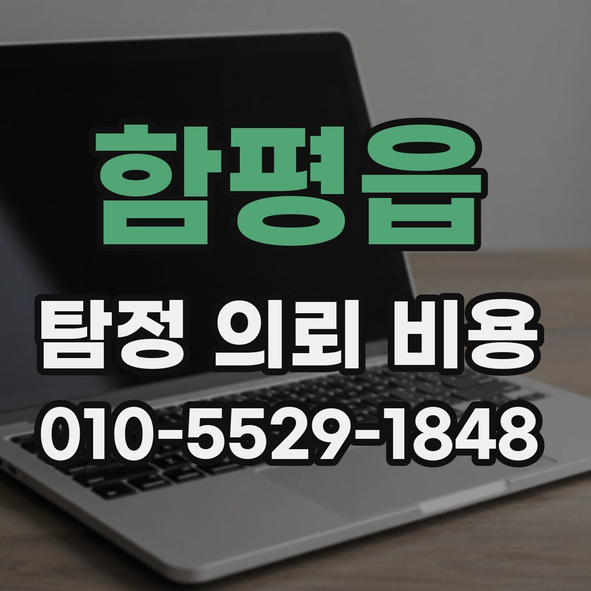 함평읍 탐정 의뢰 비용