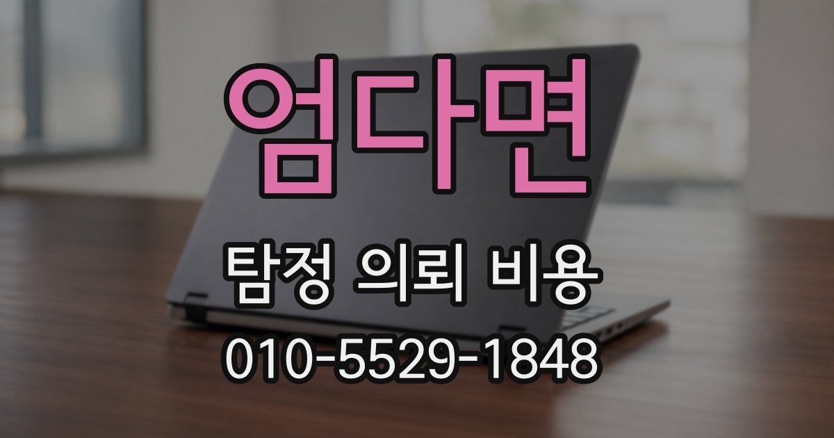 엄다면 탐정 의뢰 비용