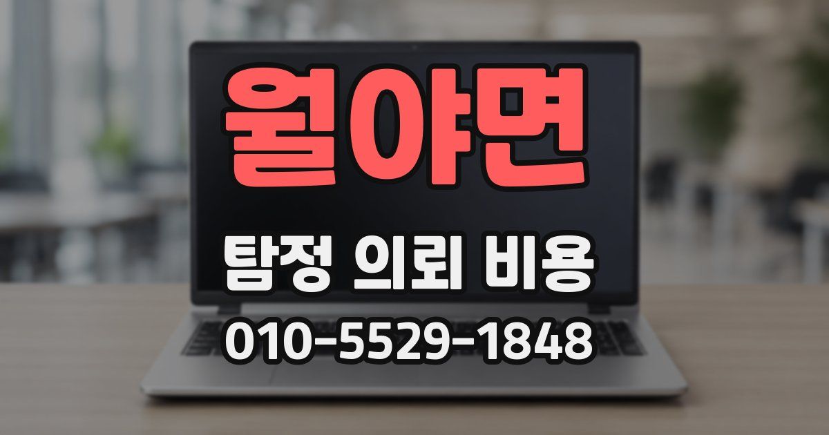 월야면 탐정 의뢰 비용