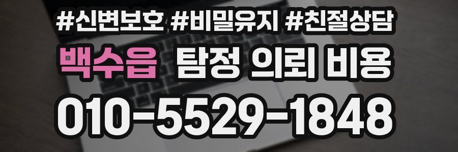 백수읍 탐정 의뢰 비용