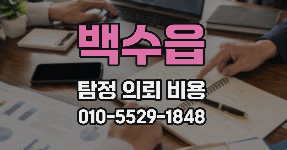 백수읍 탐정 의뢰 비용