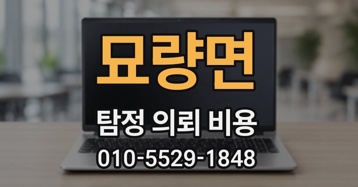 묘량면 탐정 의뢰 비용