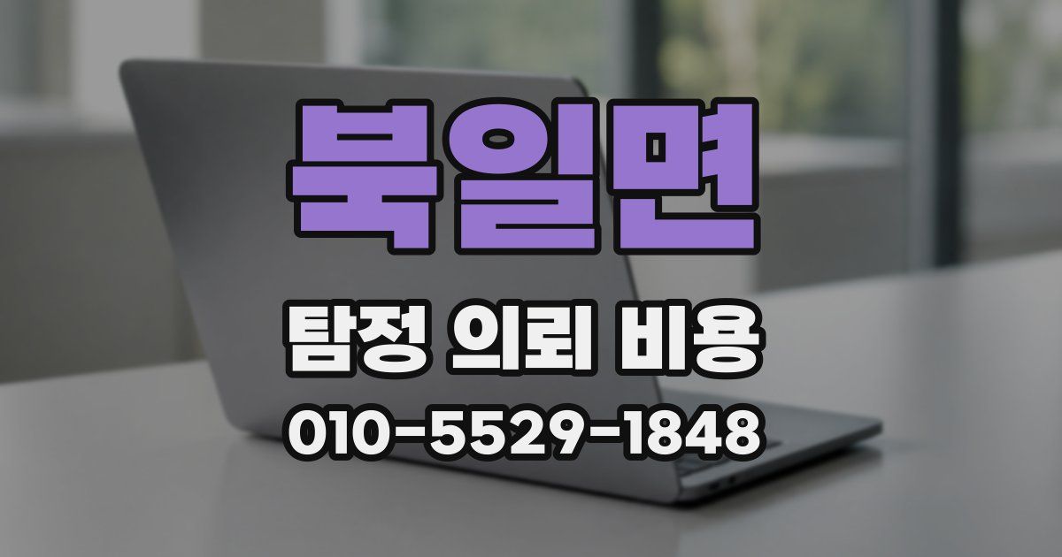 북일면 탐정 의뢰 비용