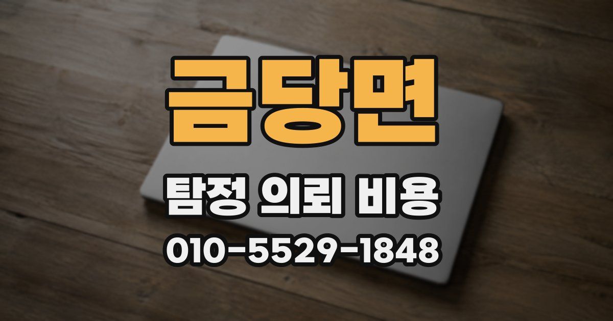 금당면 탐정 의뢰 비용
