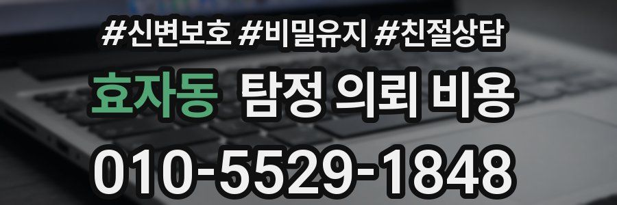 효자동 탐정 의뢰 비용