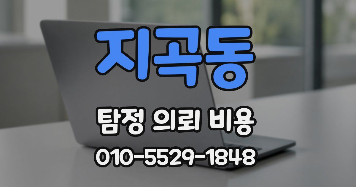 지곡동 탐정 의뢰 비용