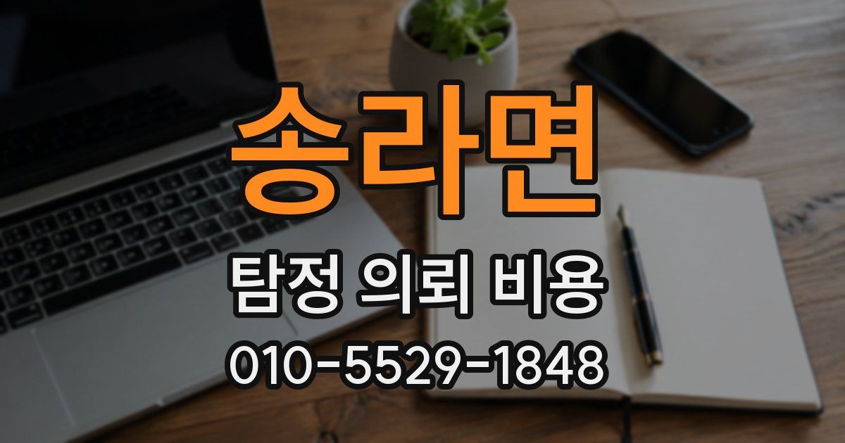송라면 탐정 의뢰 비용