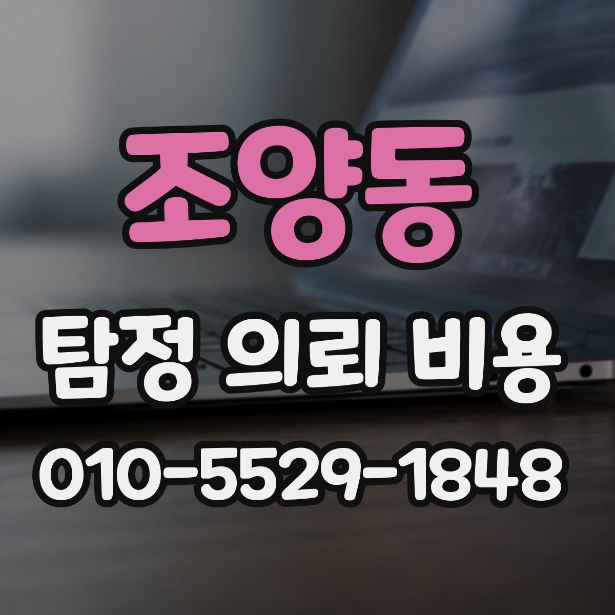 조양동 탐정 의뢰 비용