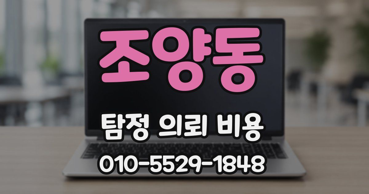 조양동 탐정 의뢰 비용