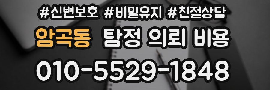 암곡동 탐정 의뢰 비용