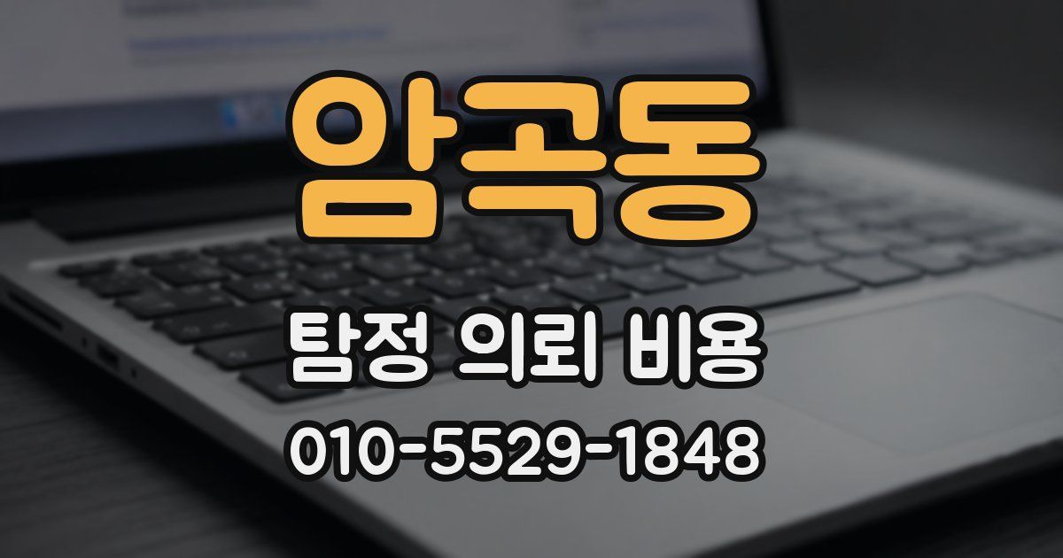 암곡동 탐정 의뢰 비용