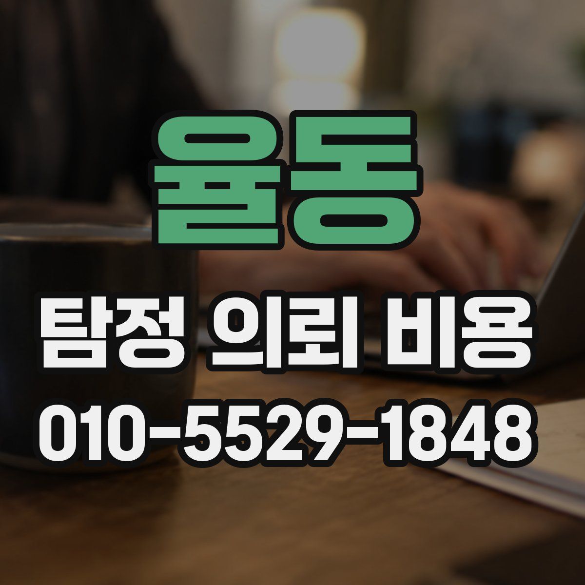 율동 탐정 의뢰 비용