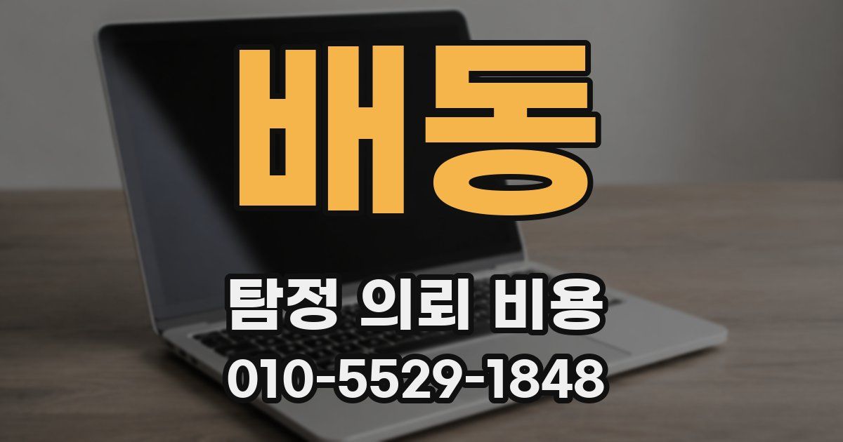 배동 탐정 의뢰 비용
