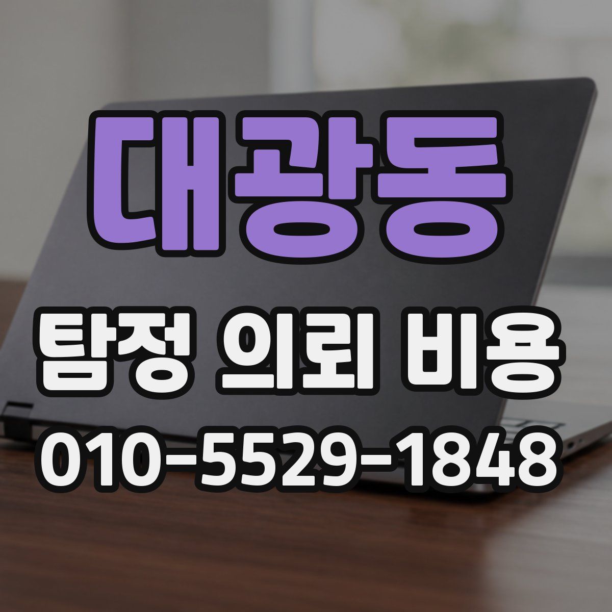 대광동 탐정 의뢰 비용