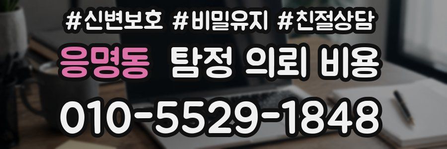 응명동 탐정 의뢰 비용