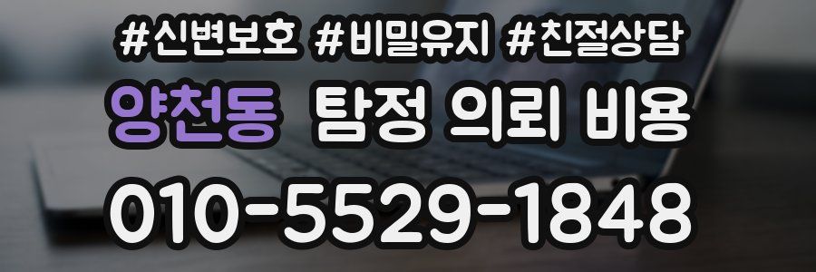 양천동 탐정 의뢰 비용