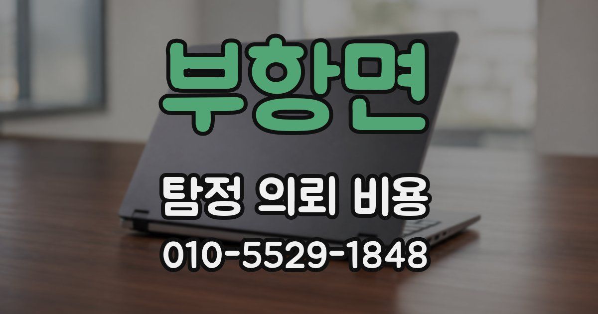부항면 탐정 의뢰 비용