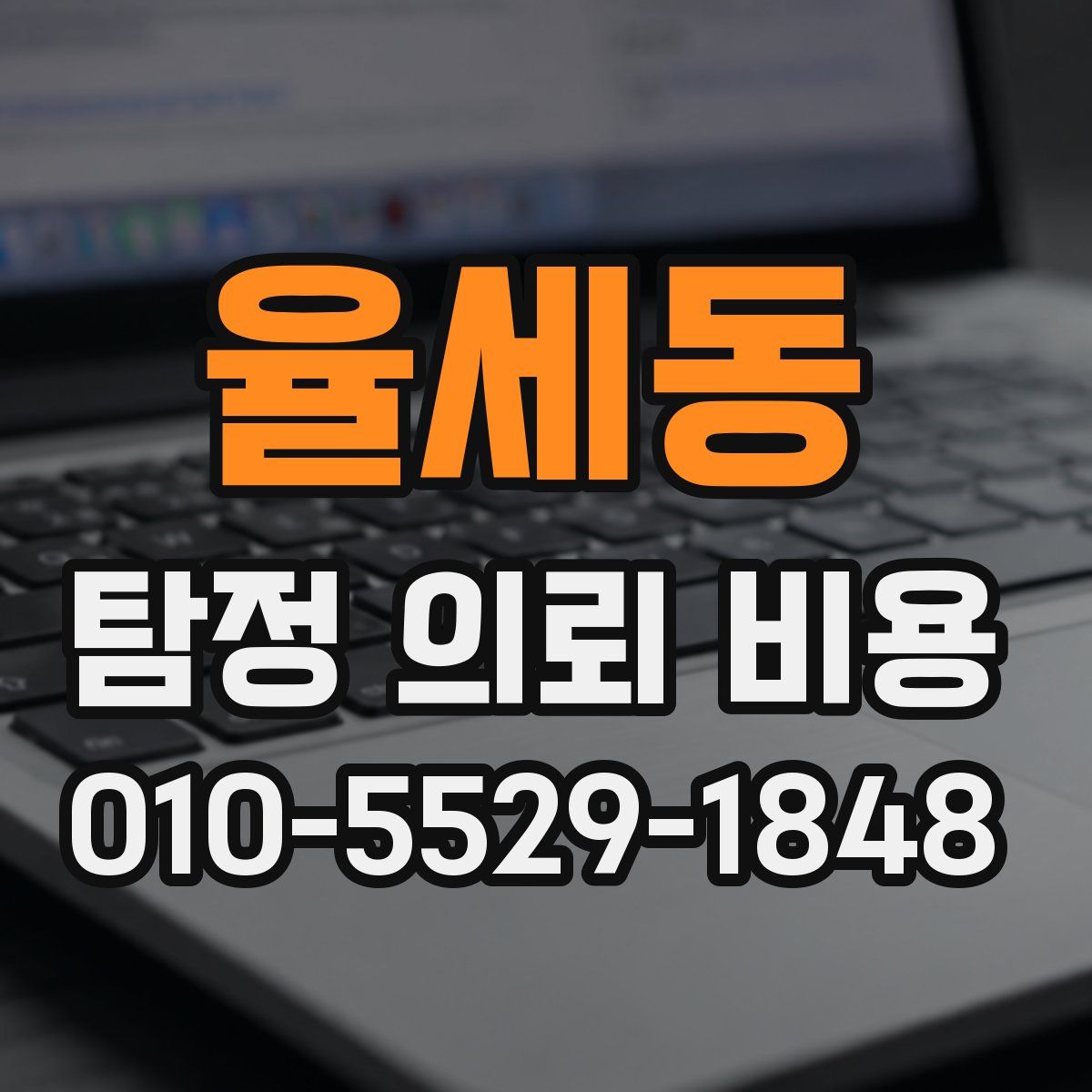 율세동 탐정 의뢰 비용