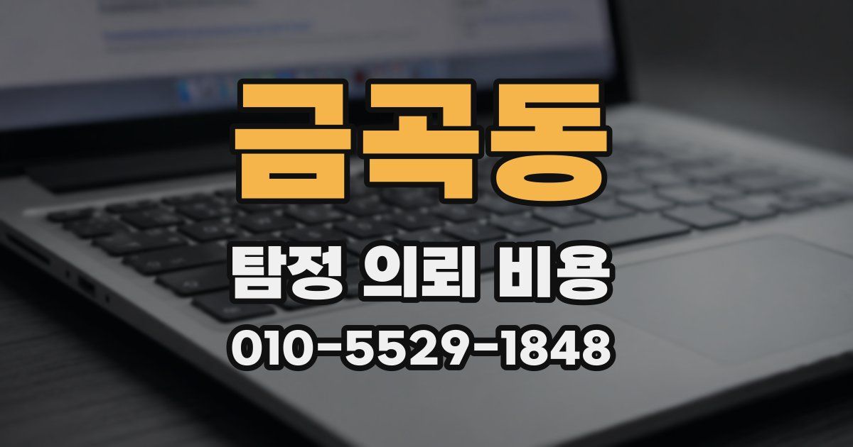 금곡동 탐정 의뢰 비용