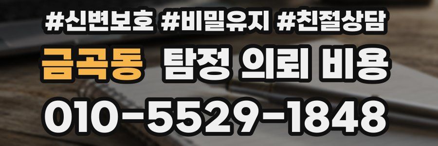 금곡동 탐정 의뢰 비용