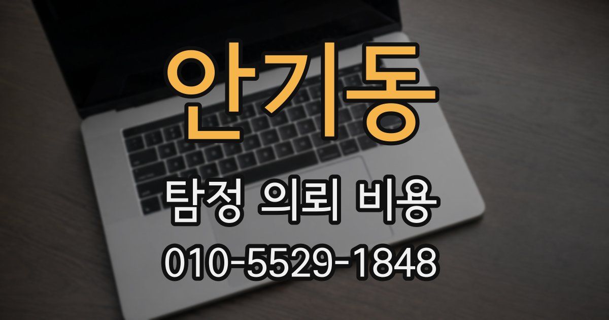 안기동 탐정 의뢰 비용