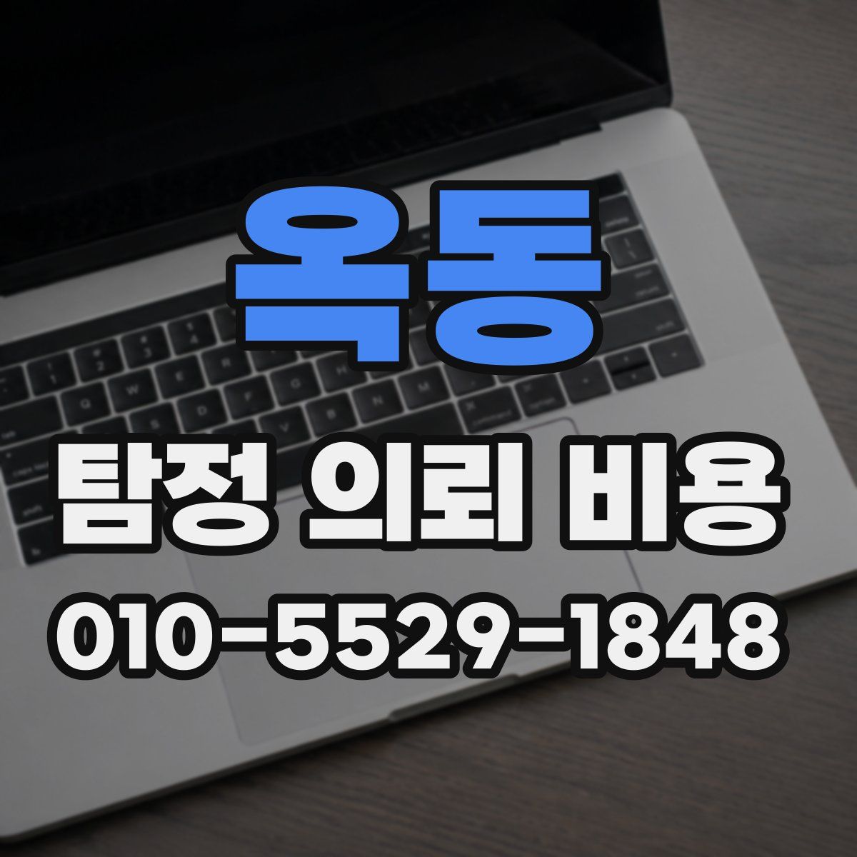 옥동 탐정 의뢰 비용