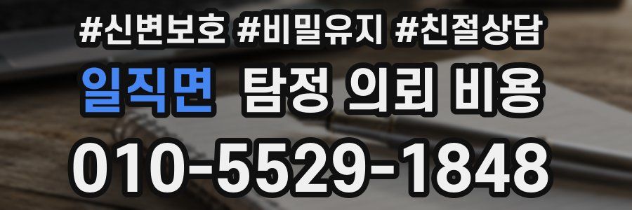 일직면 탐정 의뢰 비용