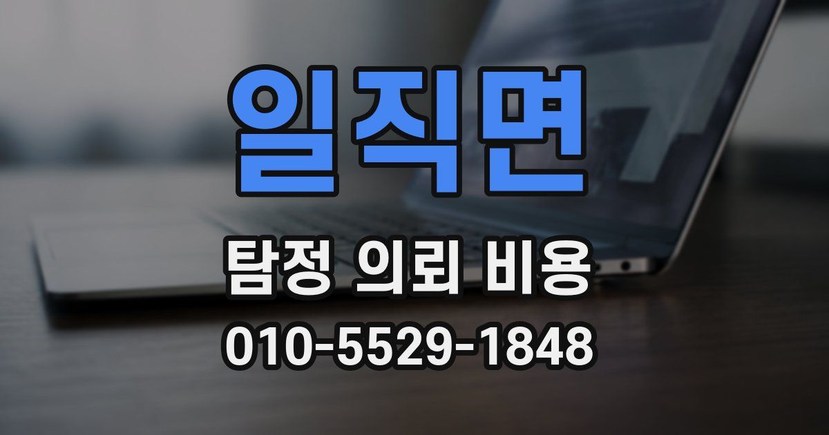 일직면 탐정 의뢰 비용